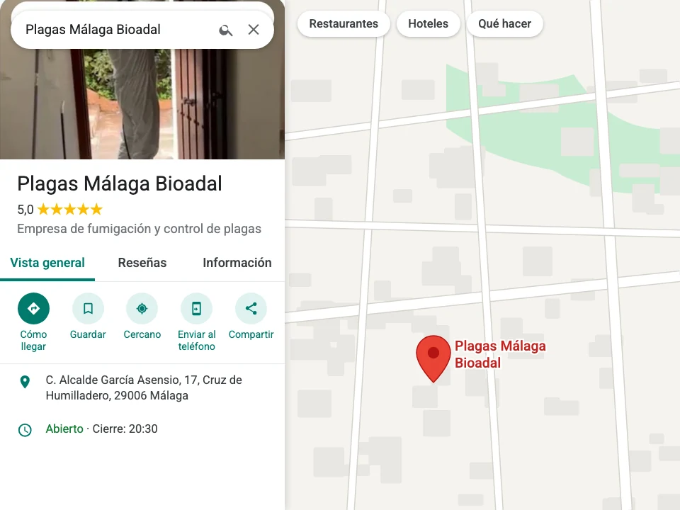 Ficha de Google Maps de Plagas Málaga Bioadal, empresa de control de plagas en Málaga, con 5 estrellas